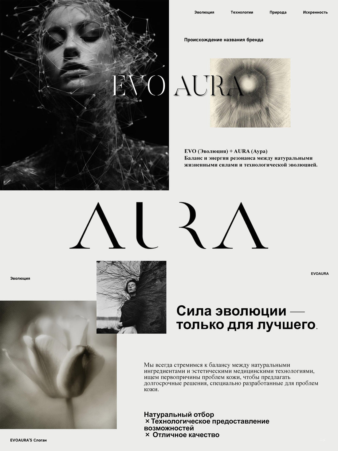 Бриф EVOAURA